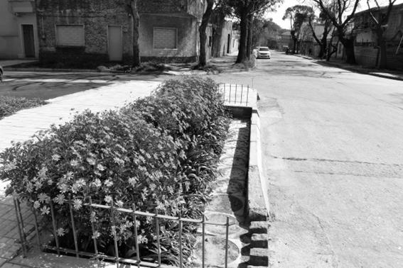C:\Users\Gabriela\Desktop\oficina\Libro 2023\Imagen1_jardin de lluvia Montevideo.jpg